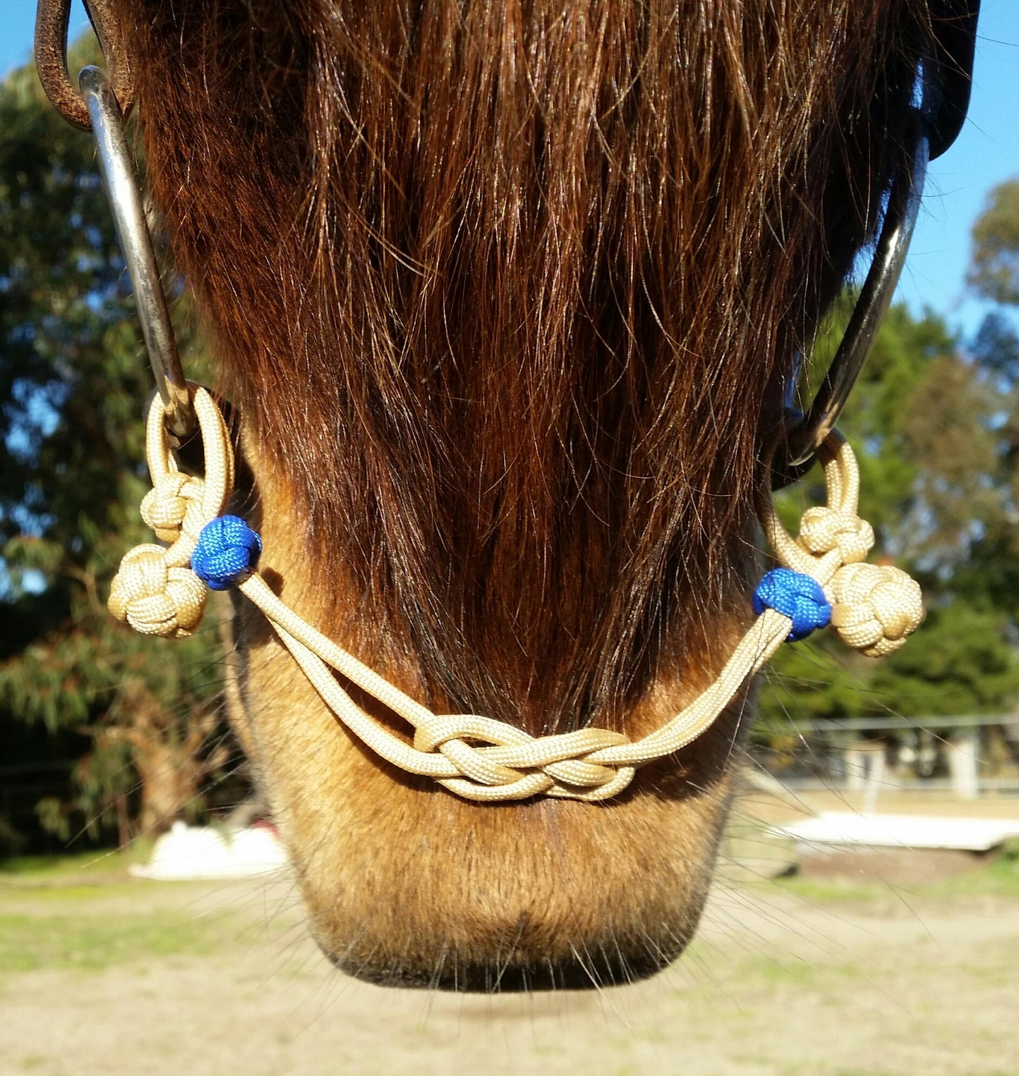 Bit Hobble for Snaffle in Rainbow