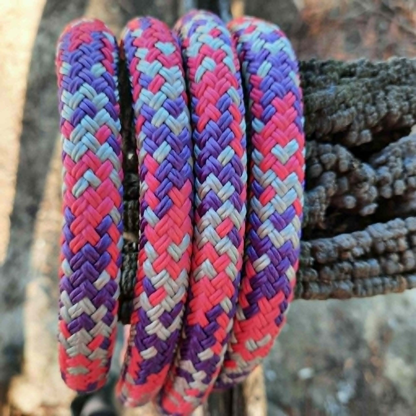 Joined Rope Reins with Clips