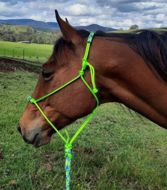Spring on Lime Green Headstall & 12ft Lead Combo