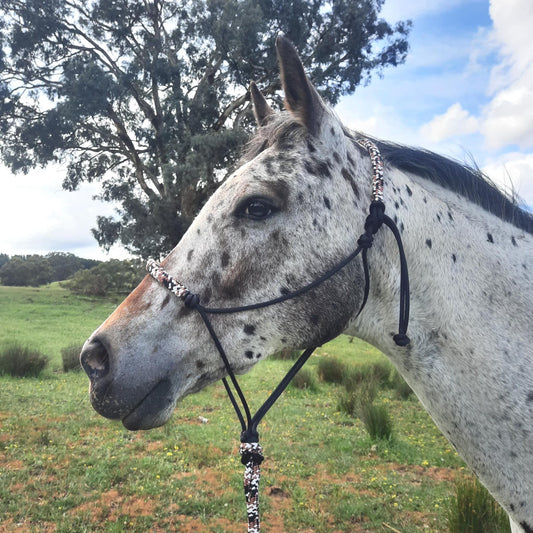 Earthen on Black Headstall & 12ft Lead Combo