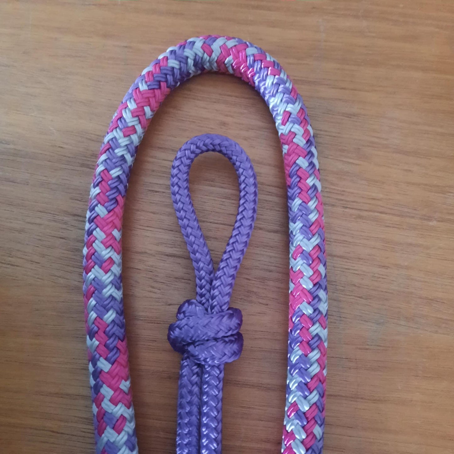 Posy on Purple Headstall & 12ft Lead Combo
