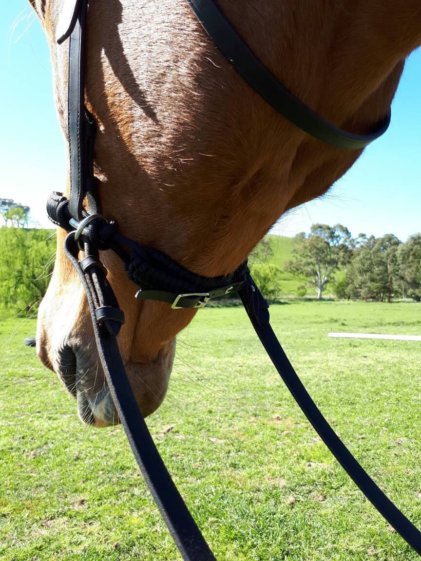 Evolve Bitless Noseband in Black
