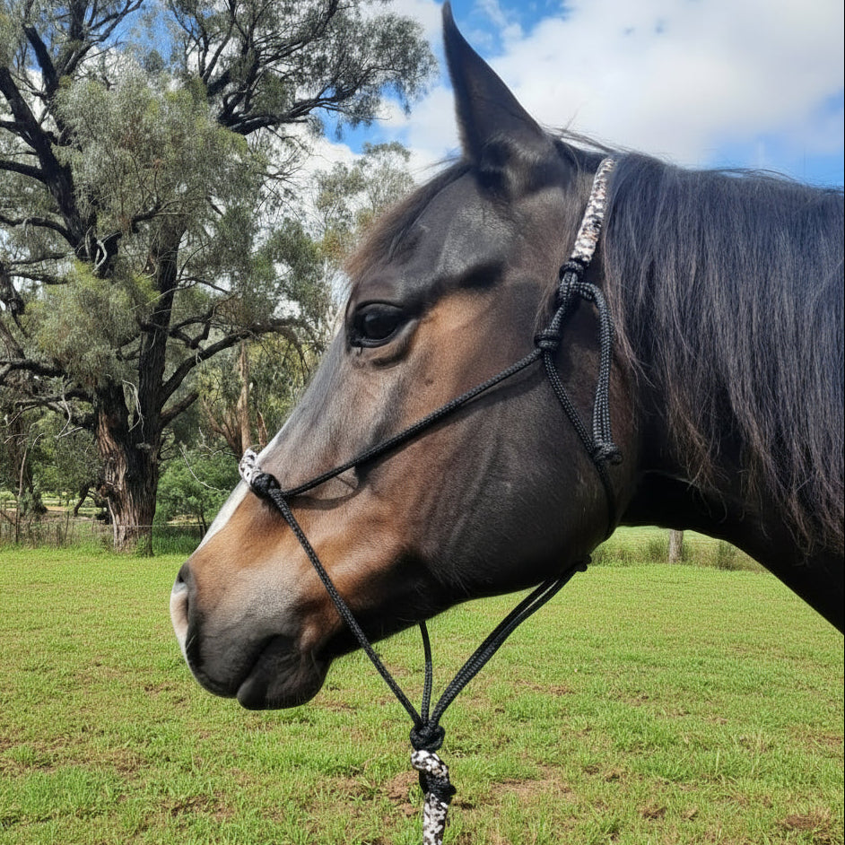 Earthen on Black Headstall & 12ft Lead Combo