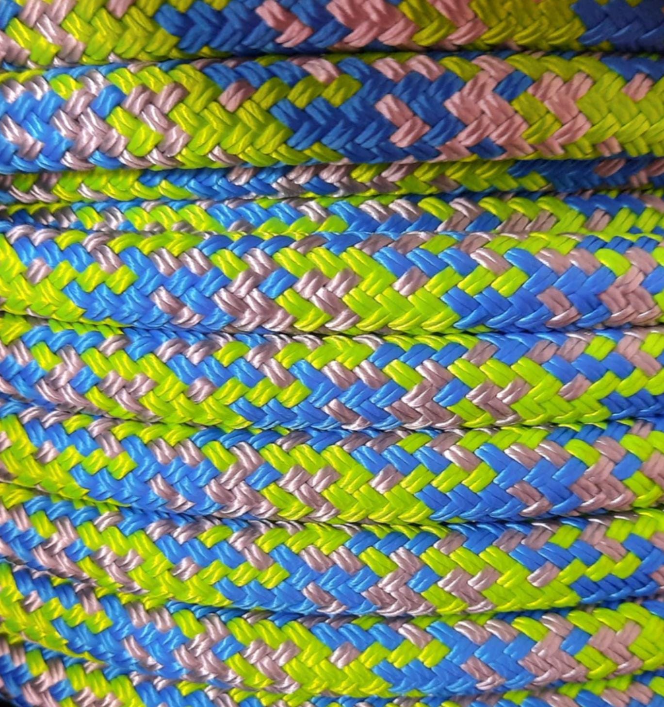 Spring on Blue Headstall & 12ft Lead Combo