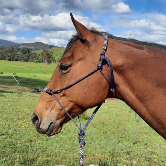 Nightfall on Navy Headstall & 12ft Lead Combo