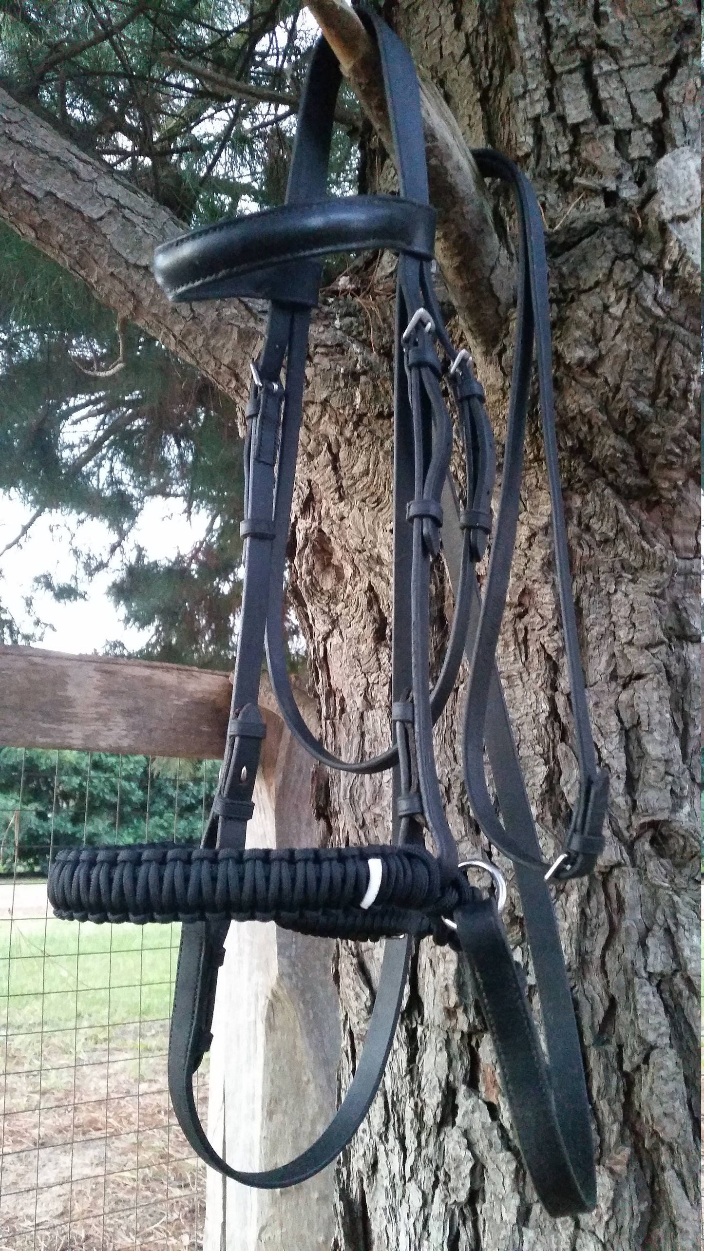 Evolve Bitless Noseband in Black