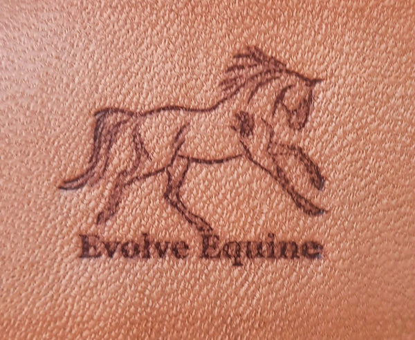 Evolve Equine