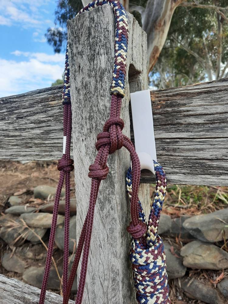 Nightfall on Burgundy Headstall & 12ft Lead Combo