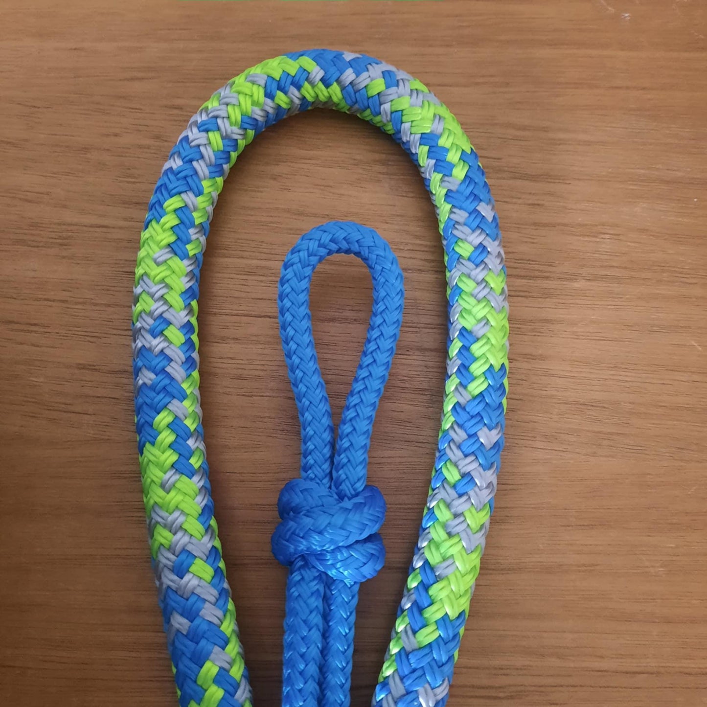 Spring on Blue Headstall & 12ft Lead Combo