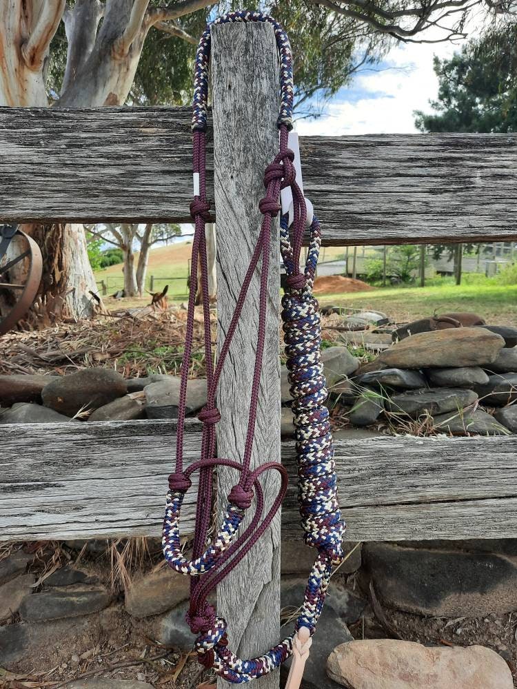 Nightfall on Burgundy Headstall & 12ft Lead Combo