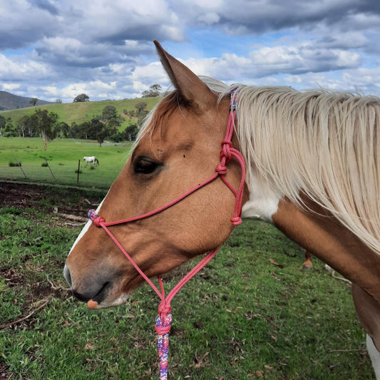 Posy on Pink Headstall & 12ft Lead Combo