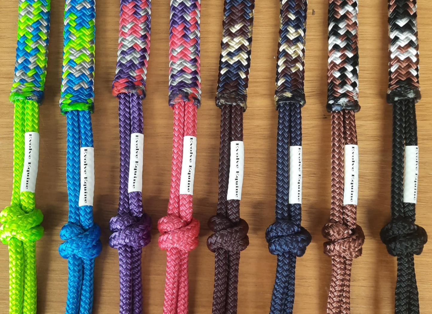 Spring on Blue Headstall & 12ft Lead Combo