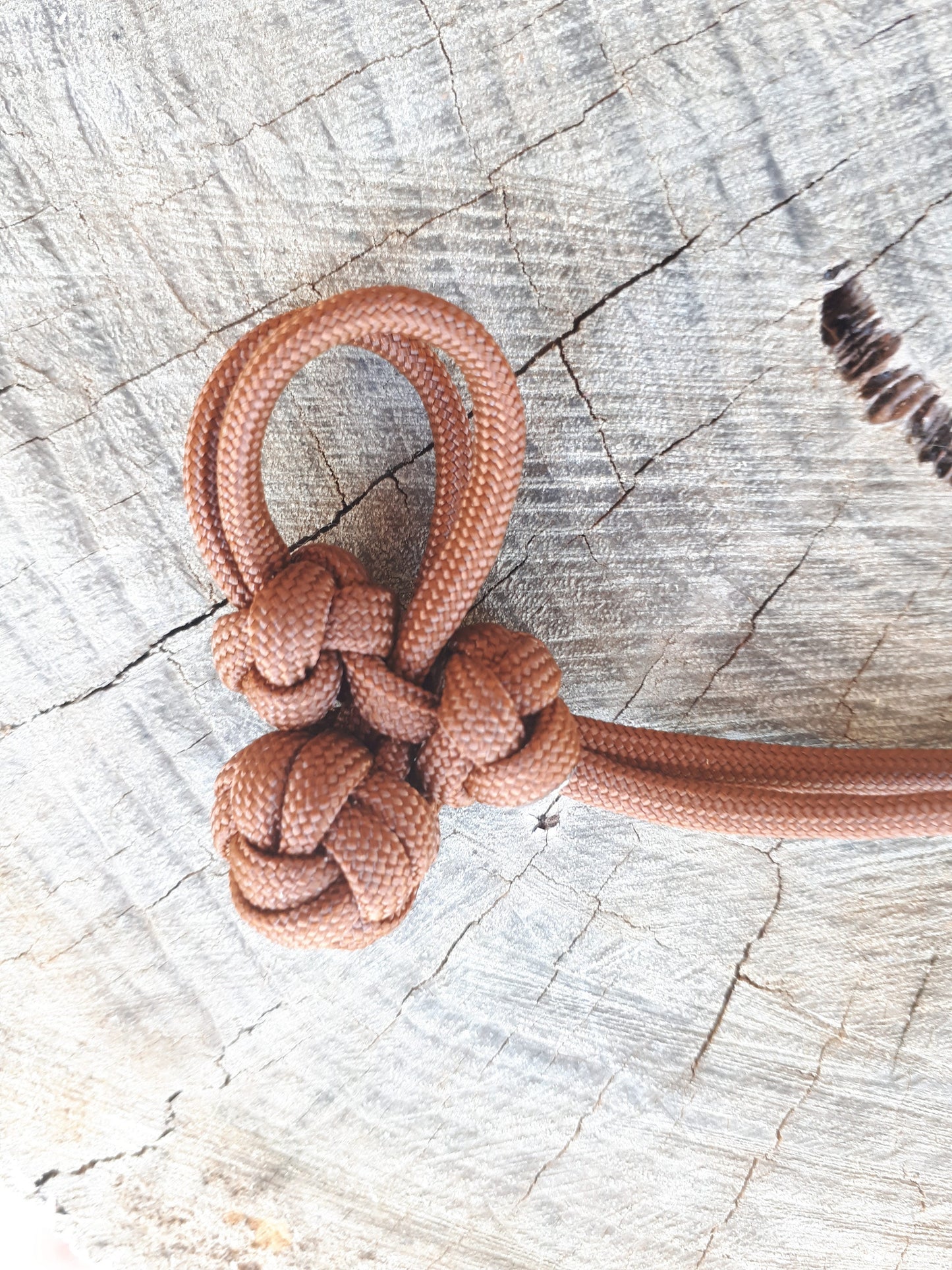 Bit Hobble for Snaffle Bit