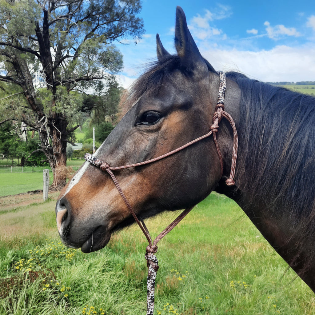 Earthen on Brown Headstall & 12ft Lead Combo