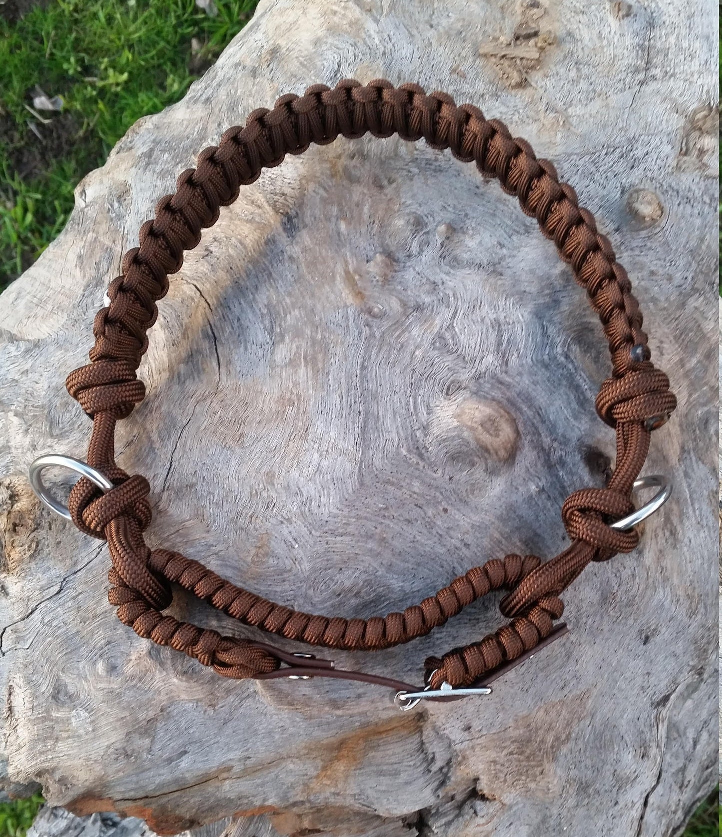 Evolve Bitless Noseband in Dark Brown