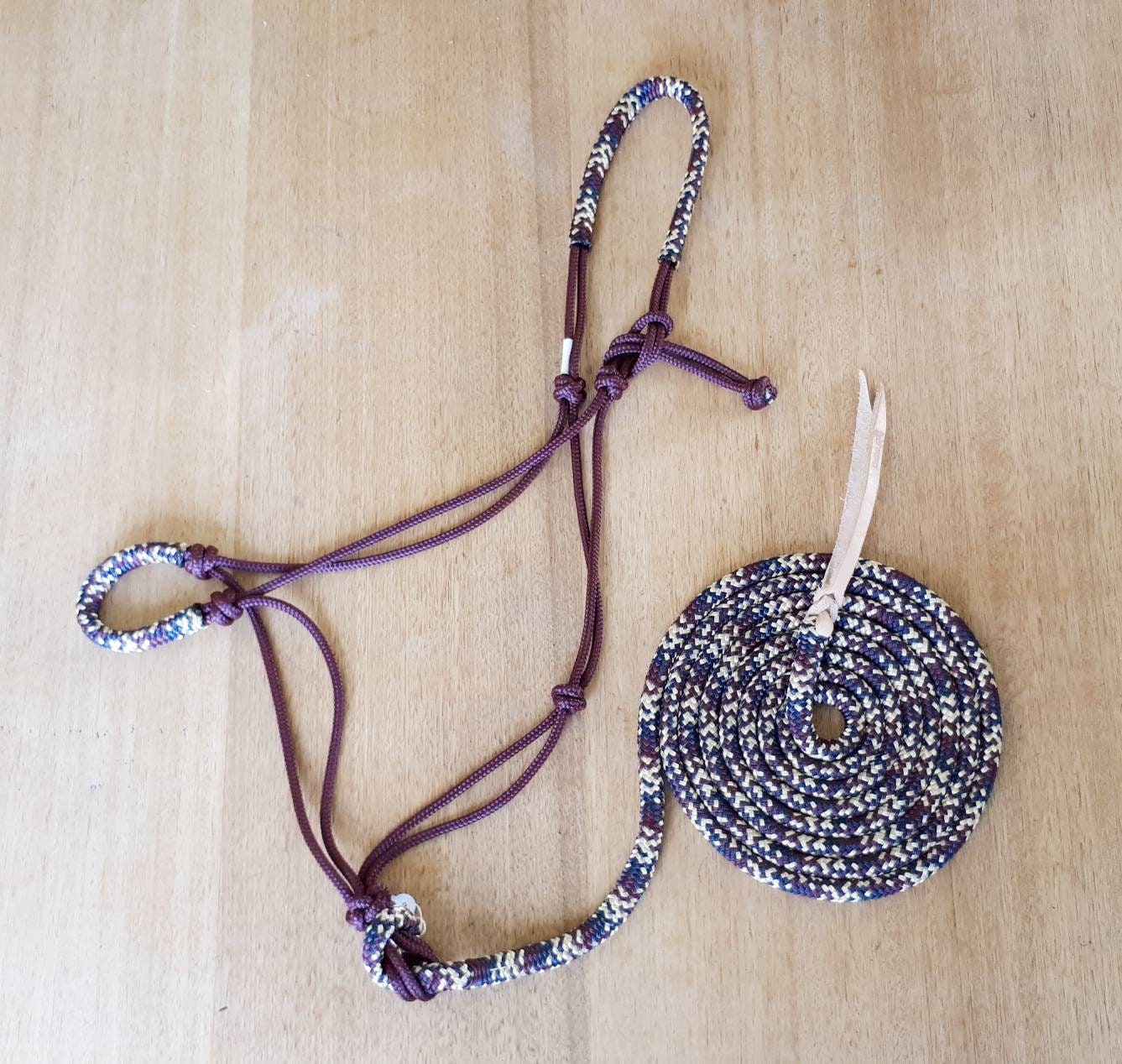 Nightfall on Burgundy Headstall & 12ft Lead Combo