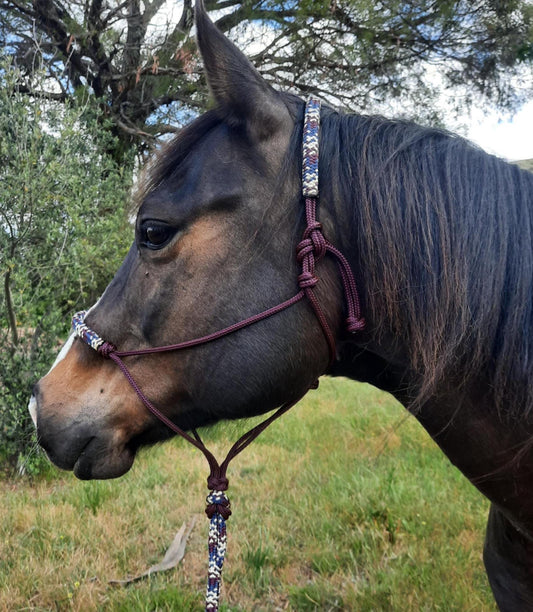 Nightfall on Burgundy Headstall & 12ft Lead Combo